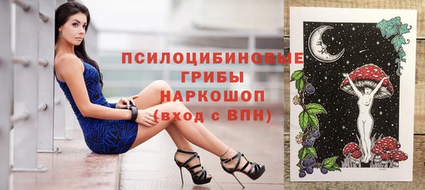 spice Алексин