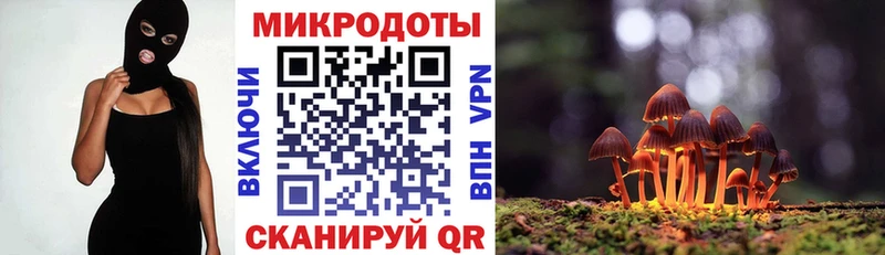 Галлюциногенные грибы Magic Shrooms  Звенигово 