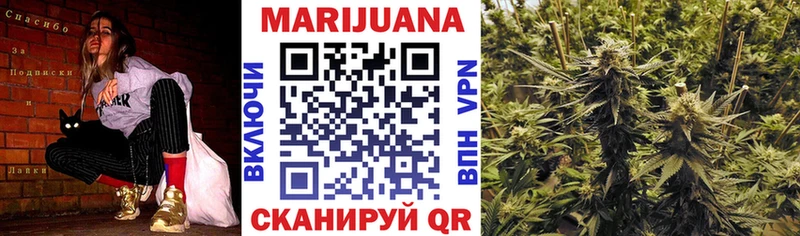 сколько стоит Звенигово Канабис сатива